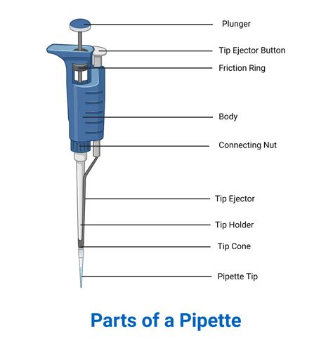 function of automatic pipette